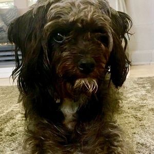 Meet your Posher, Candice